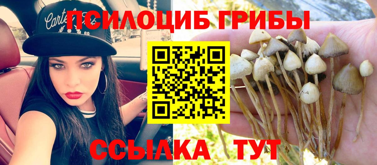 Псилоцибиновые грибы MAGIC MUSHROOMS  Вход с VPN  Армавир  Псилоцибиновые грибы Psilocybine cubensis 